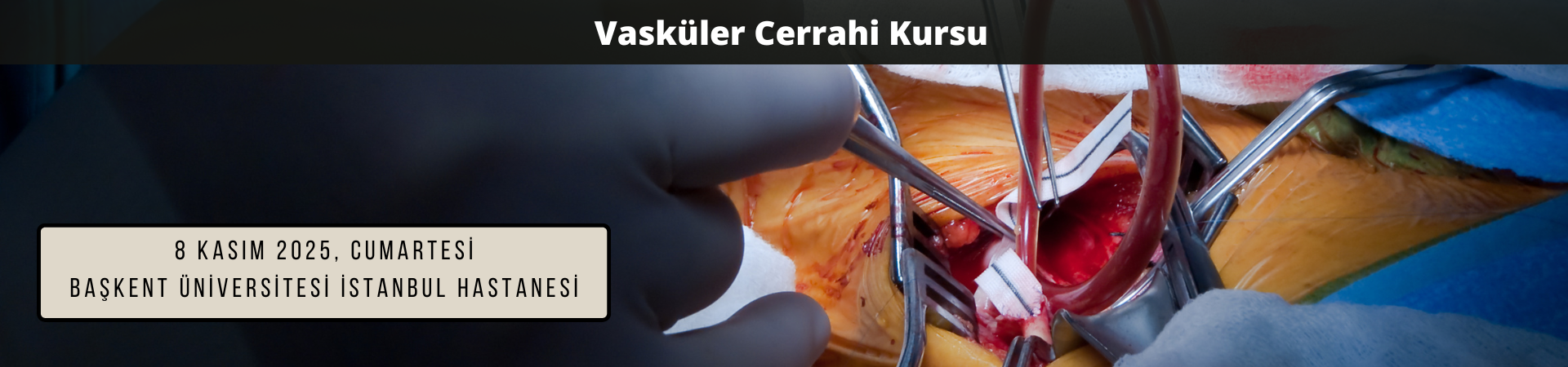 Vasküler Cerrahi Kursu