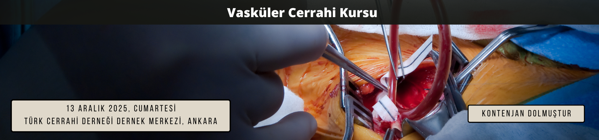 TCD VASKÜLER CERRAHİ KURSU