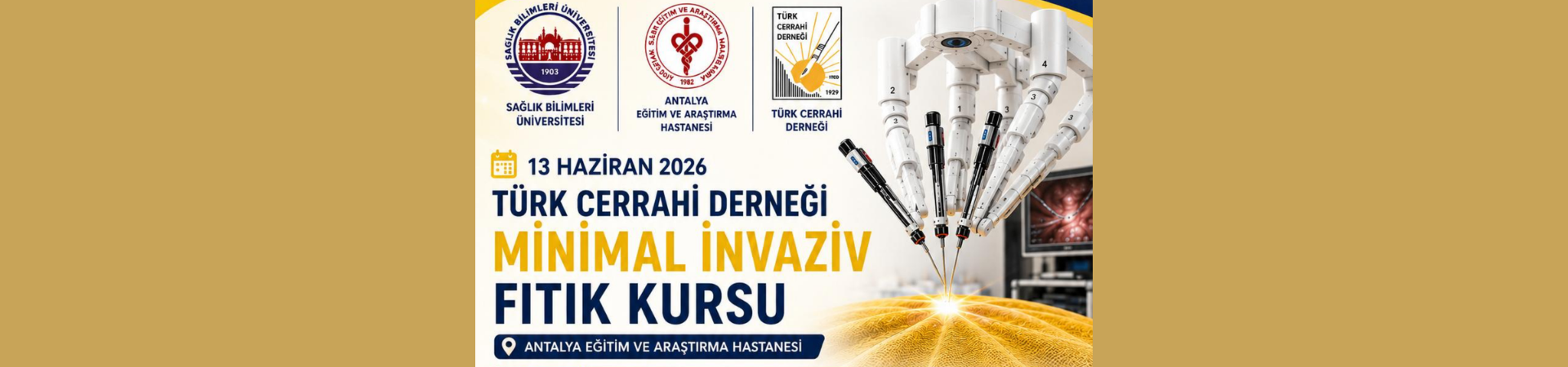 TCD Minimal İnvaziv Fıtık Kursu